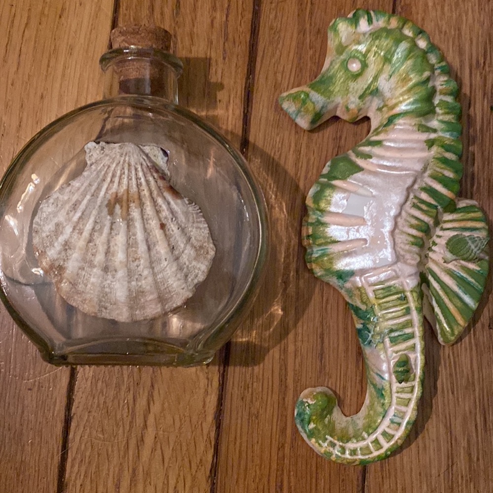 Seahorse & Shell Decor
